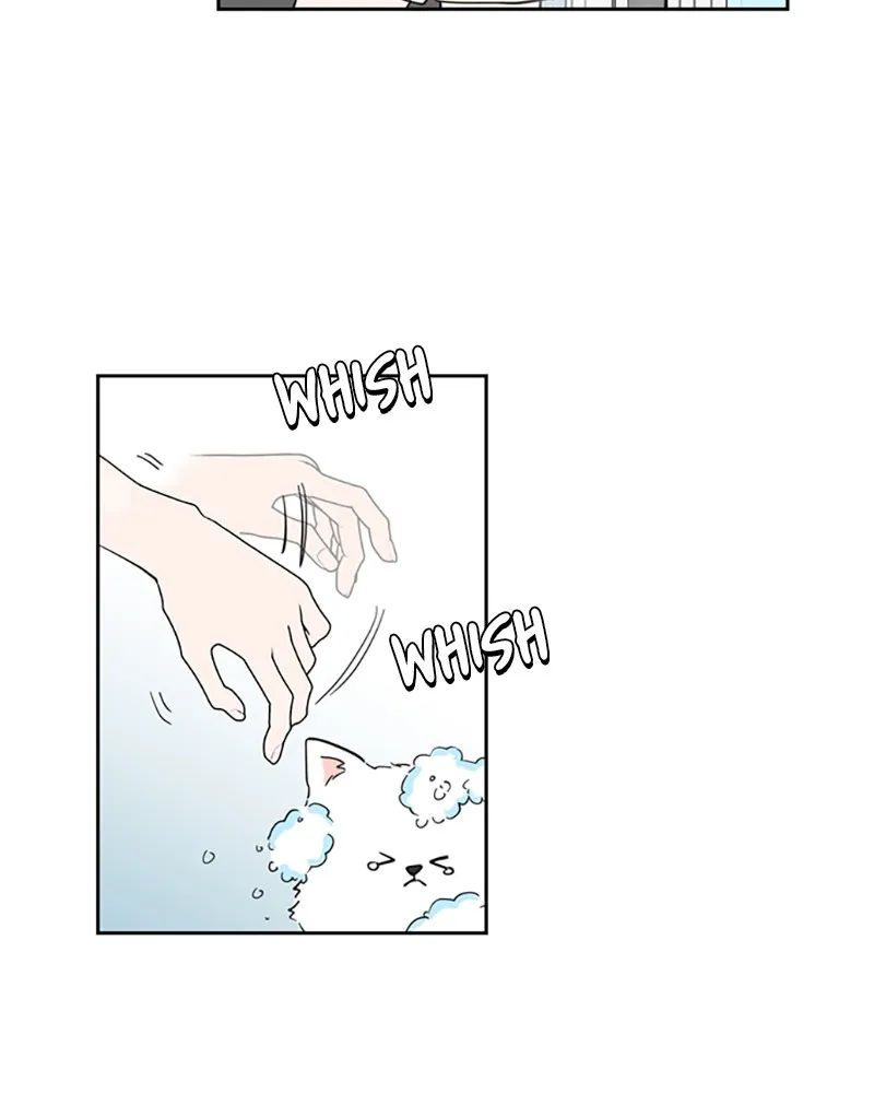 How to Hold His Leash Chapter 6 page 93 - 