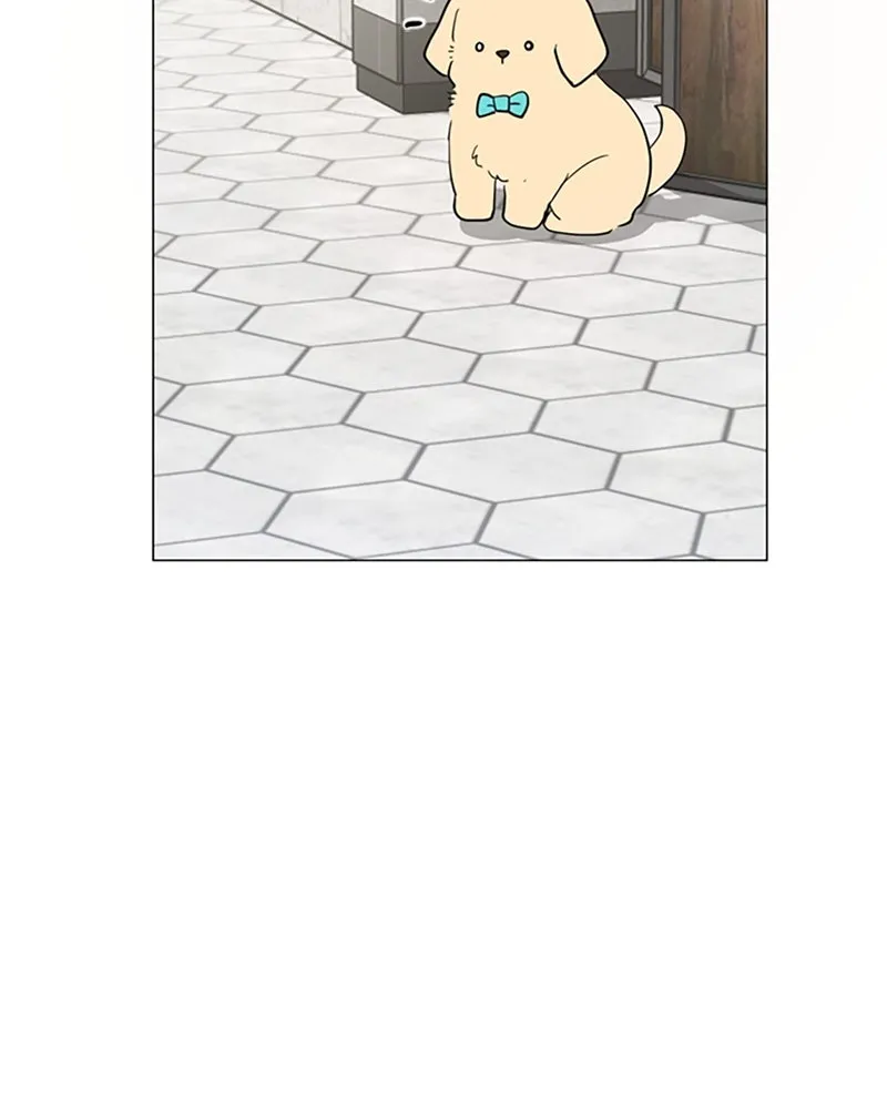 How to Hold His Leash Chapter 60 page 27 - 