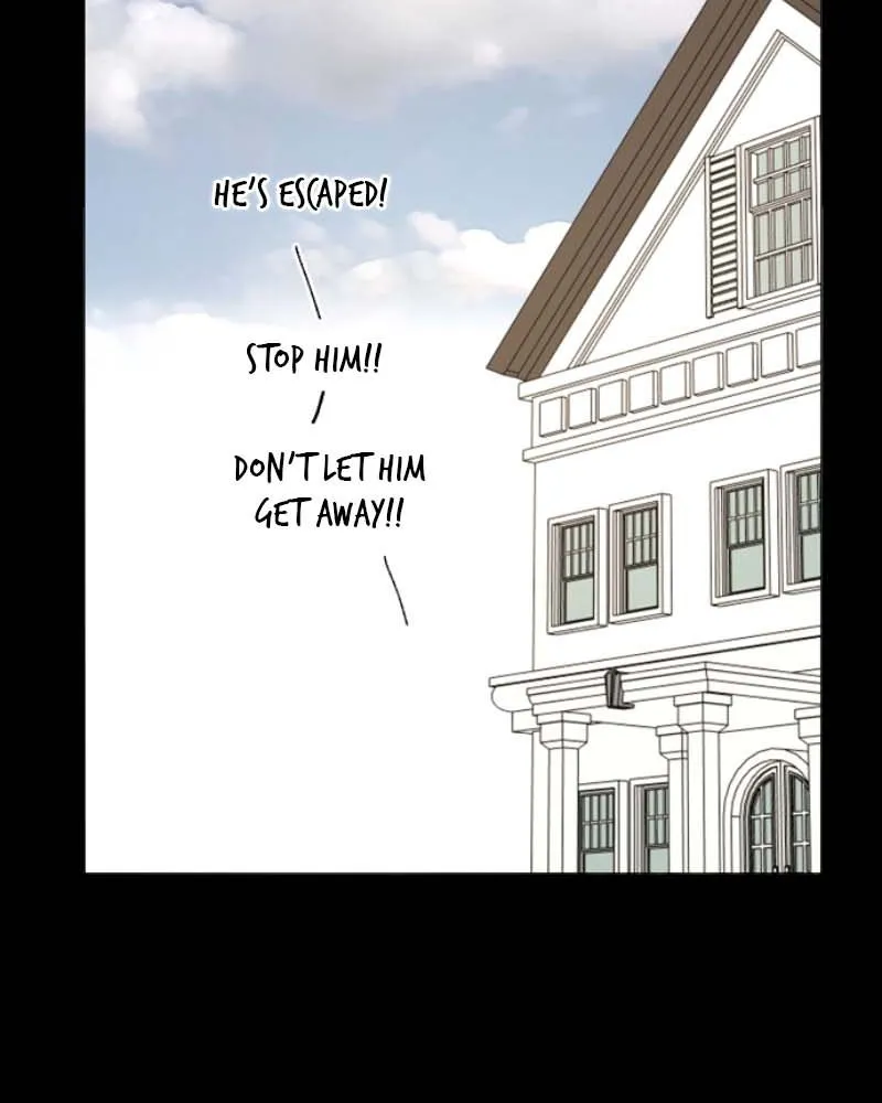 How to Hold His Leash Chapter 62 page 42 - 