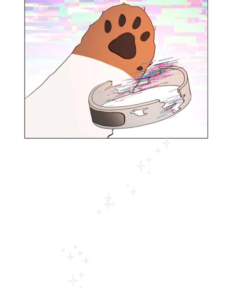 How to Hold His Leash Chapter 65 page 15 - 