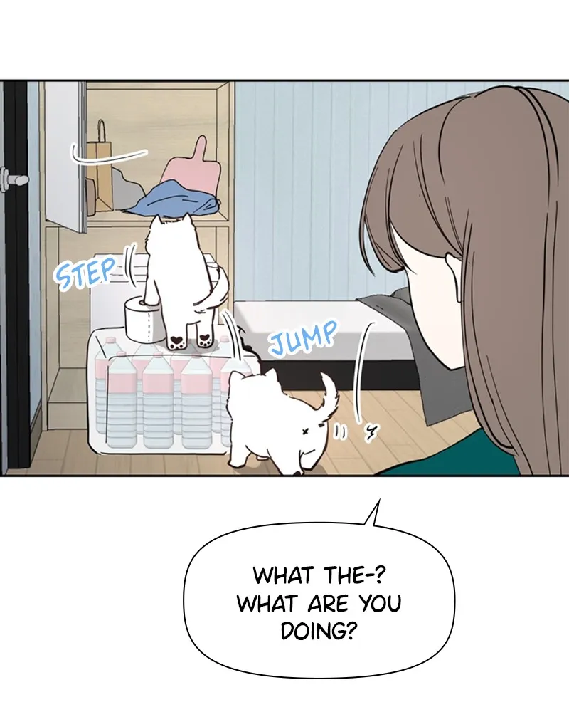How to Hold His Leash Chapter 7 page 33 - 