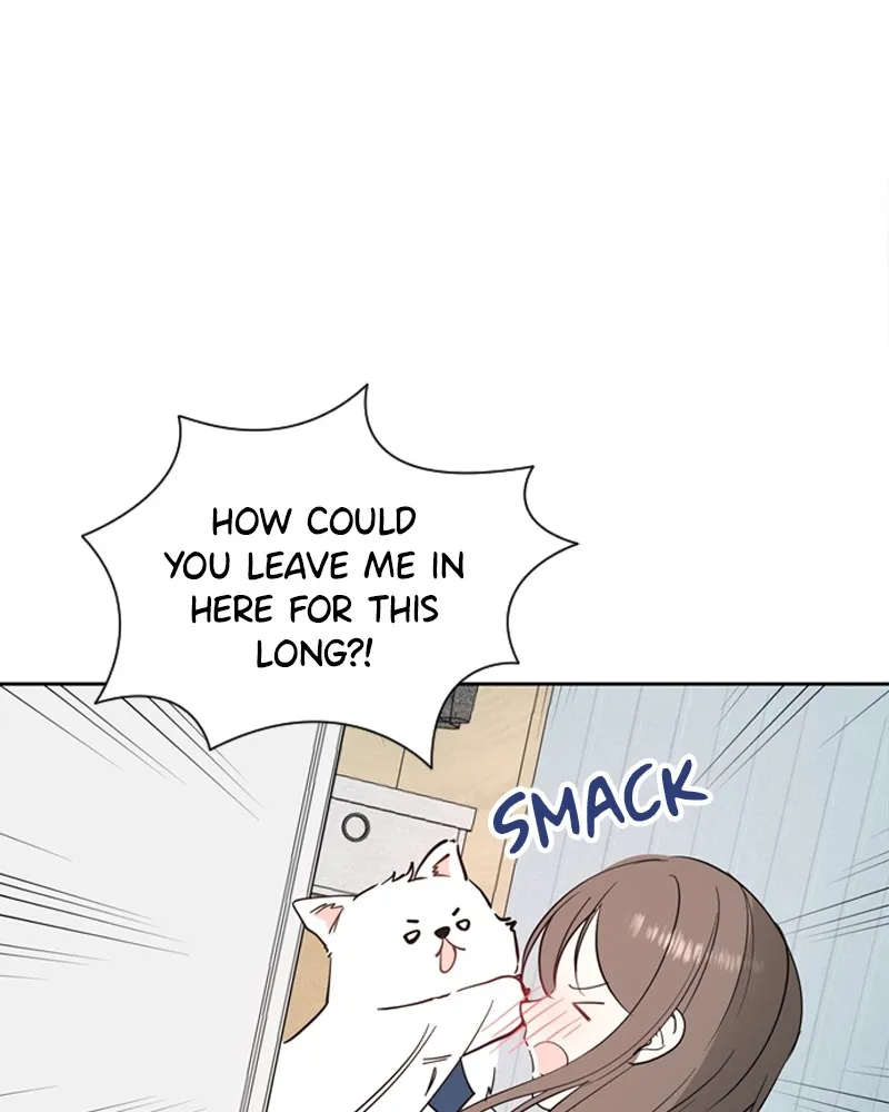 How to Hold His Leash Chapter 7 page 44 - 