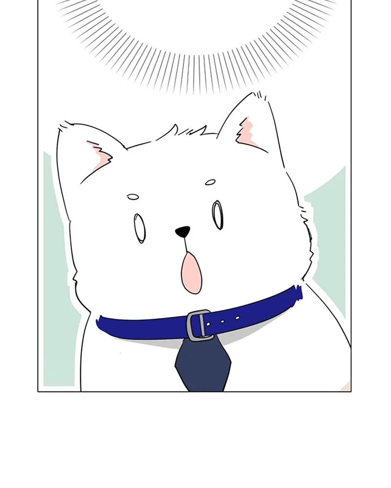 How to Hold His Leash Chapter 72 page 51 - 