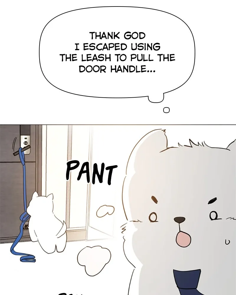 How to Hold His Leash Chapter 73 page 17 - 