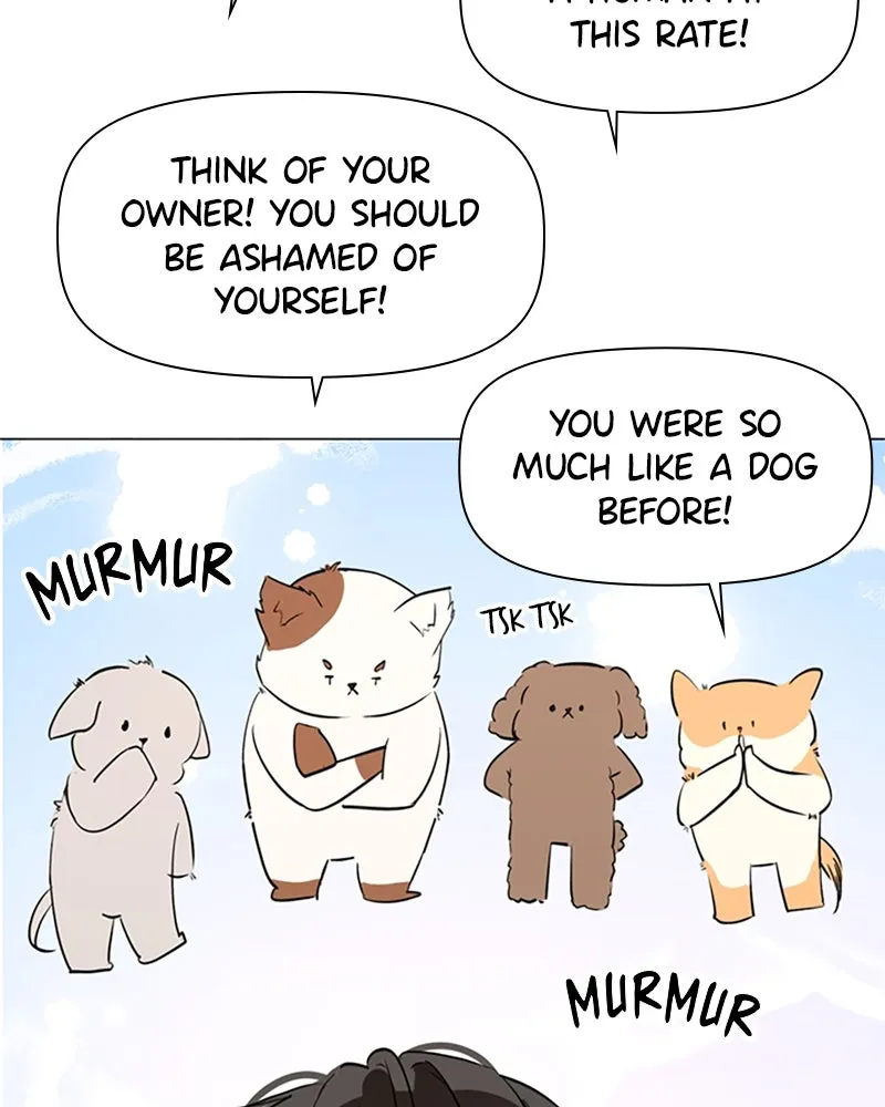 How to Hold His Leash Chapter 75 page 60 - 
