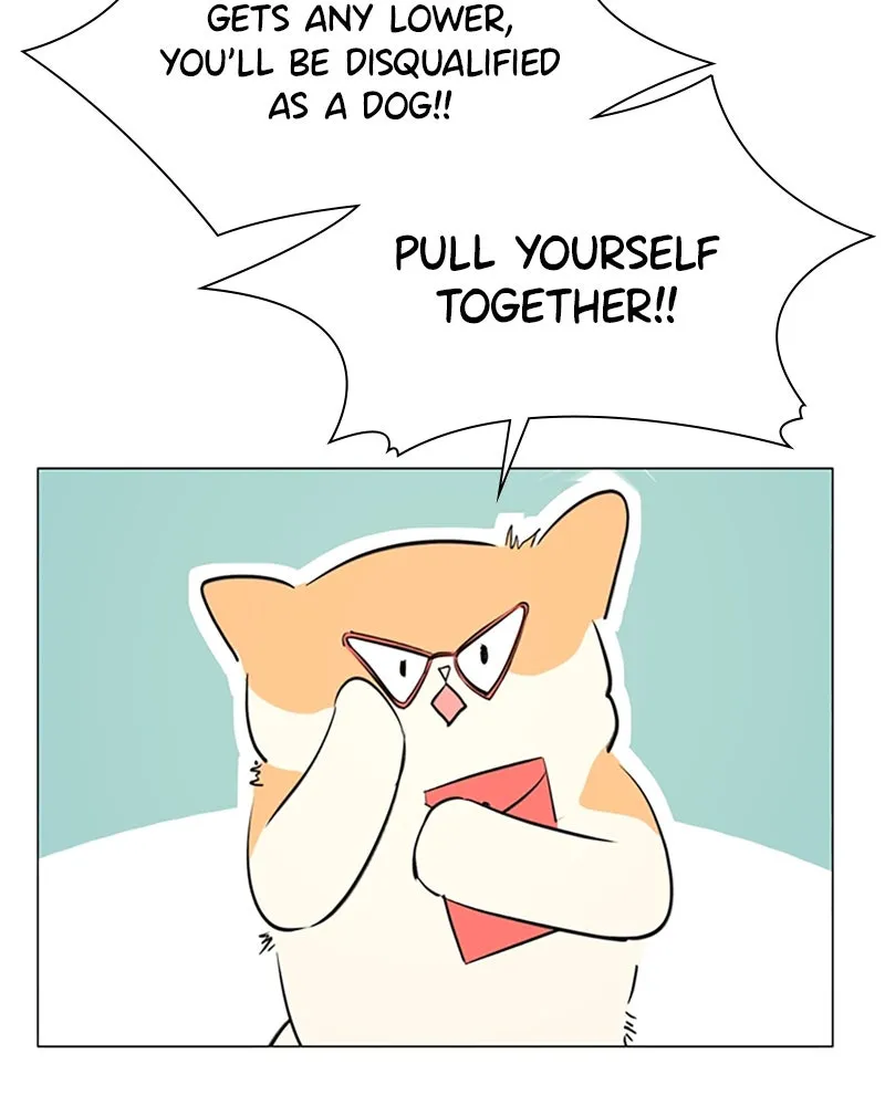 How to Hold His Leash Chapter 75 page 62 - 