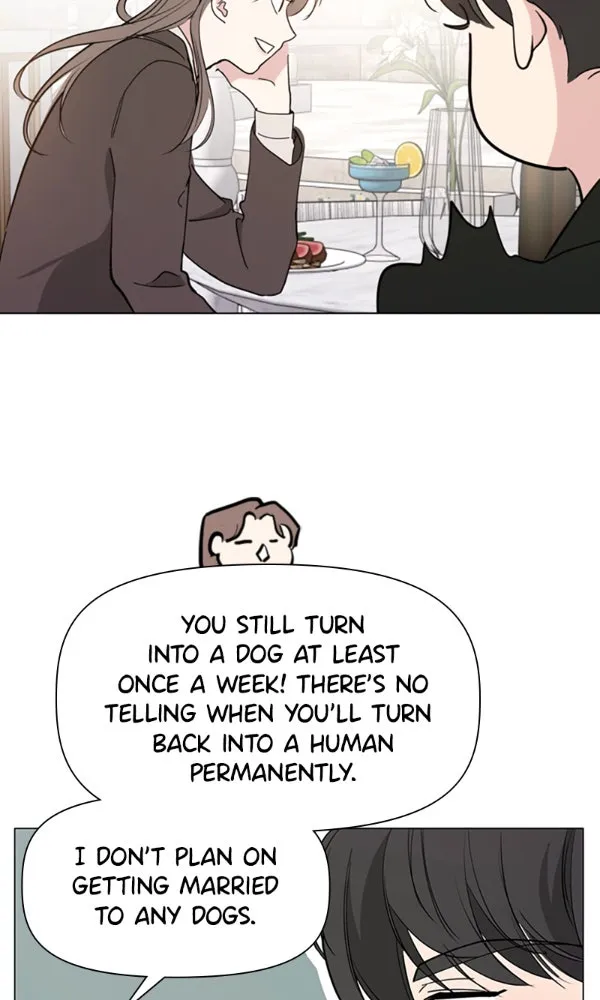 How to Hold His Leash Chapter 77 page 14 - 