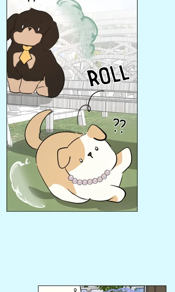 How to Hold His Leash Chapter 77 page 68 - 