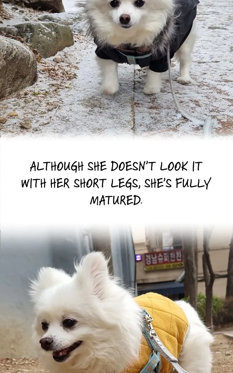 How to Hold His Leash Chapter 78 page 15 - 