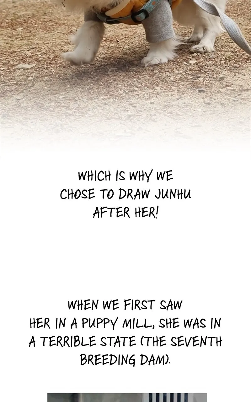 How to Hold His Leash Chapter 78 page 16 - 