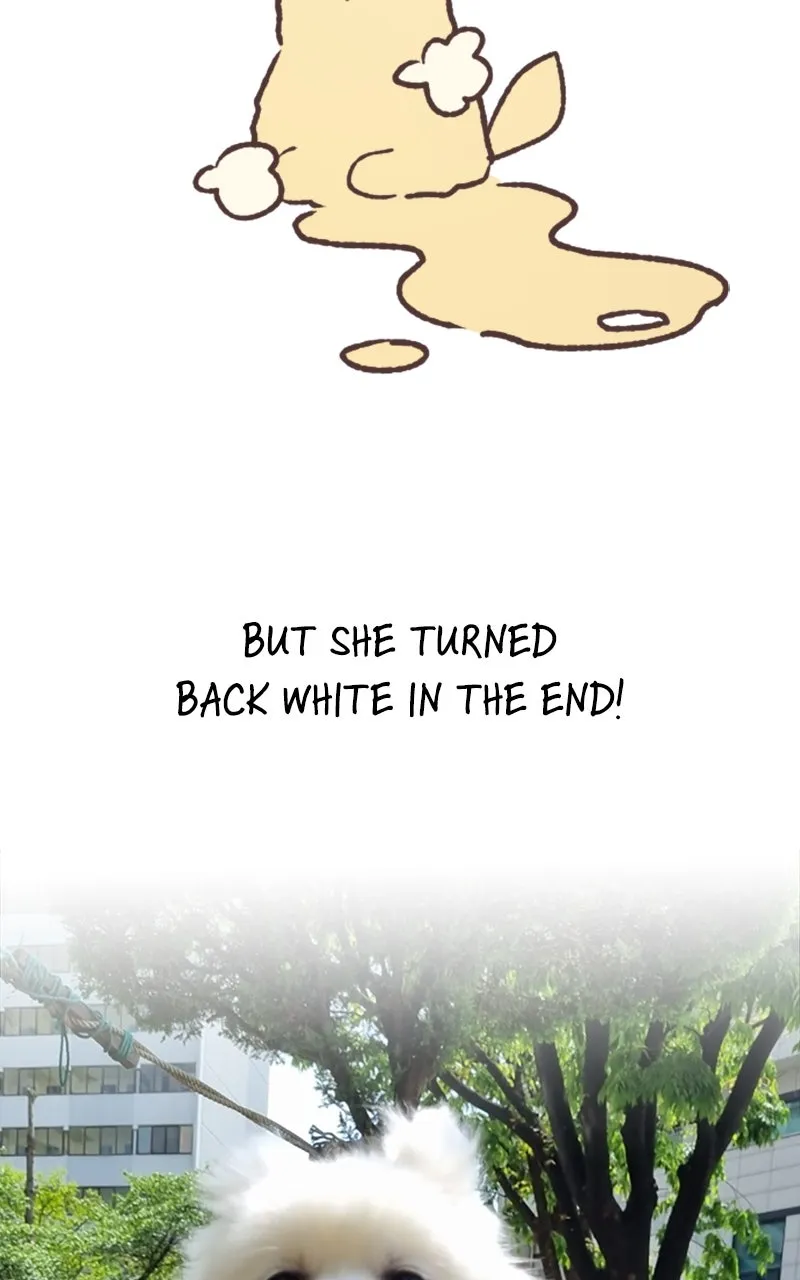 How to Hold His Leash Chapter 78 page 18 - 