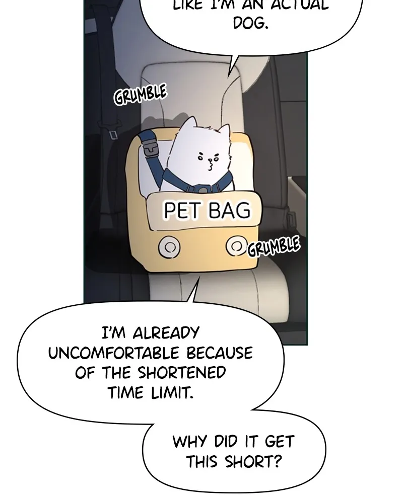 How to Hold His Leash Chapter 8 page 41 - 