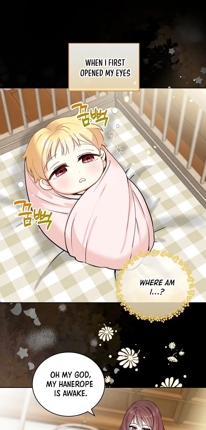 How to Protect My Sub Male Lead Dad Chapter 1 page 1 - 