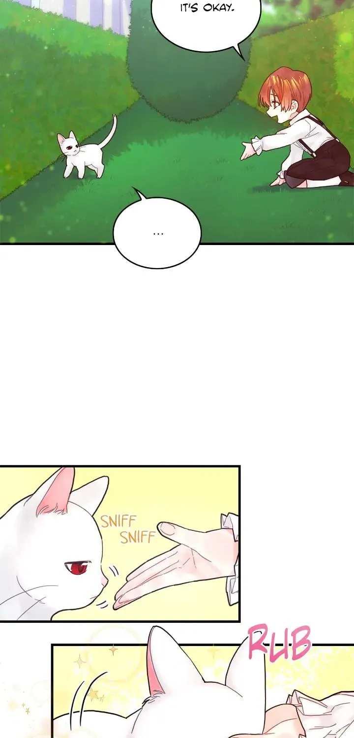 How to Refuse the Route Chapter 3 page 31 - 