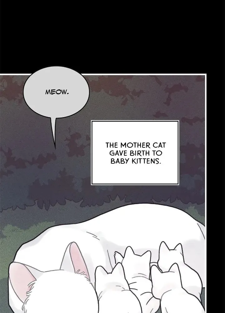 How to Refuse the Route Chapter 43 page 33 - 