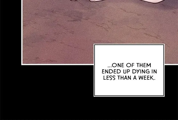 How to Refuse the Route Chapter 43 page 35 - 
