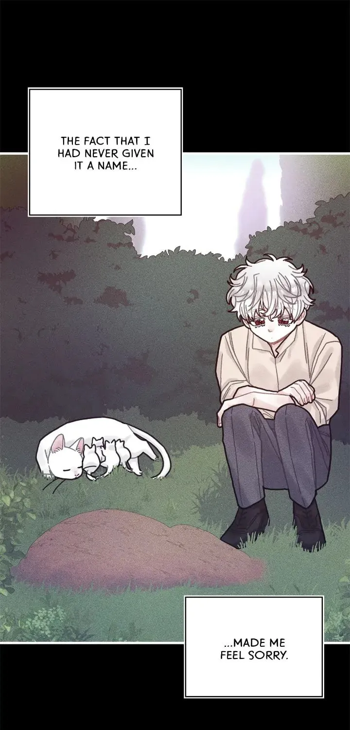 How to Refuse the Route Chapter 43 page 36 - 
