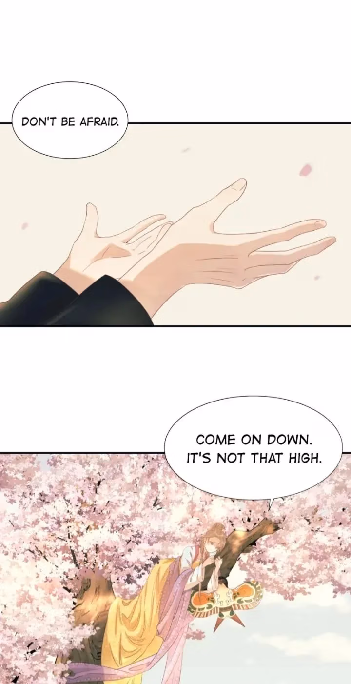 How’d I Get a Heroine’s Script? Chapter 48 page 11 - 