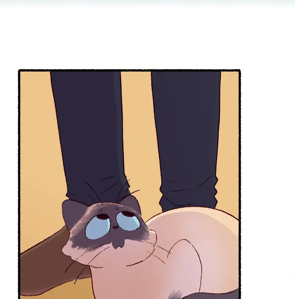Hungry Heart Chapter 40 page 81 - 