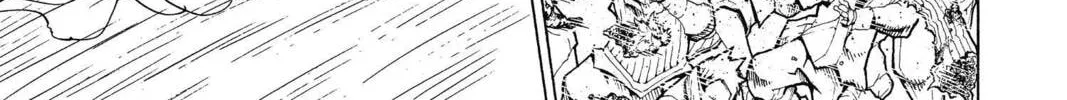 Hunter x Hunter Chapter 356 page 22 - 