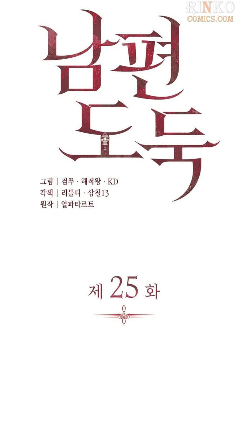 Husband Thief Chapter 25 page 17 - 