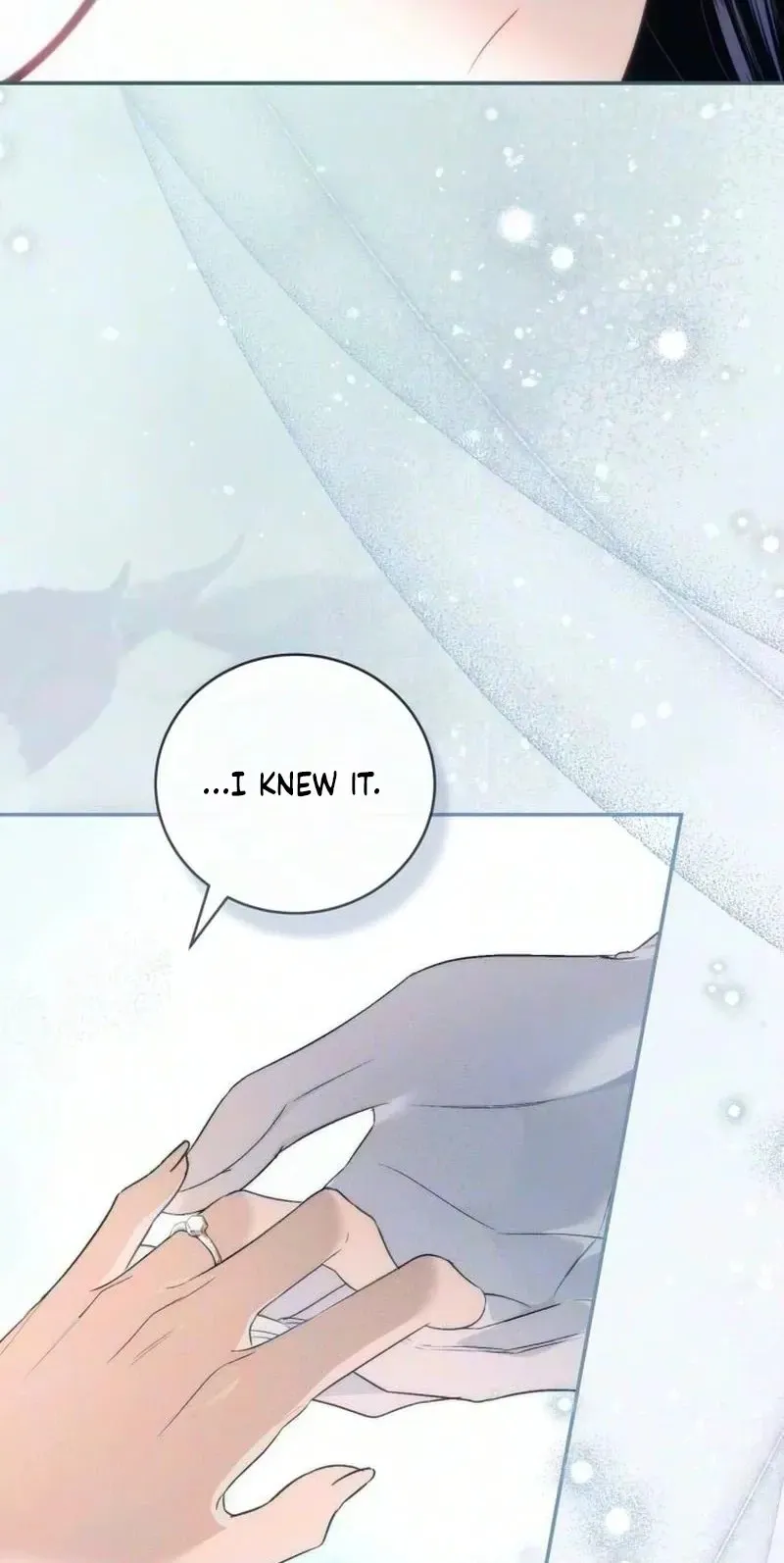 Husband Thief Chapter 30 page 20 - 