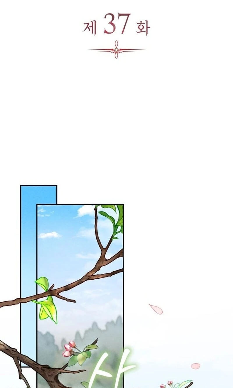 Husband Thief Chapter 37 page 37 - 