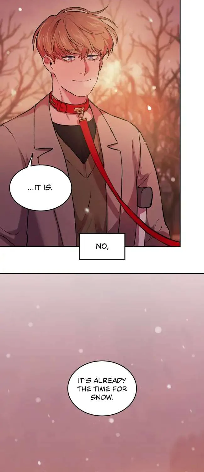 Hwang Young's Misery Chapter 2 page 38 - 