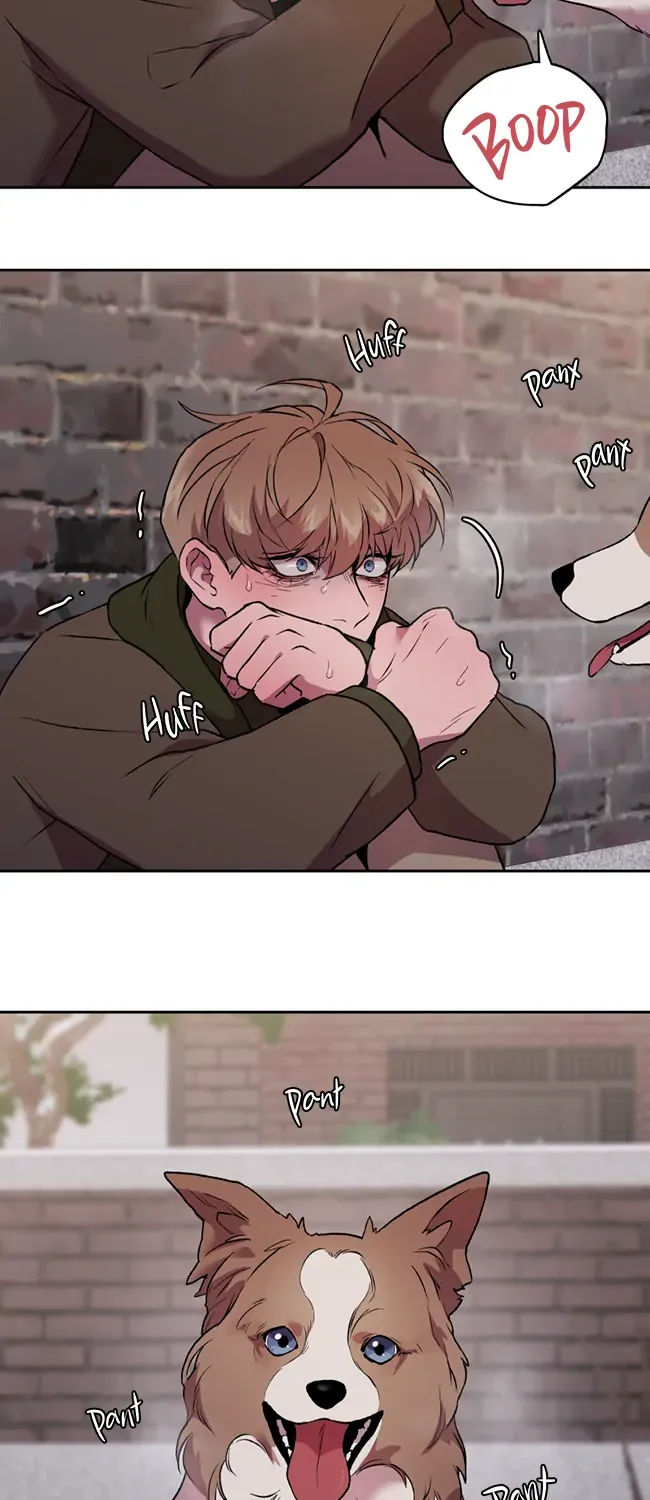 Hwang Young's Misery Chapter 37 page 30 - 