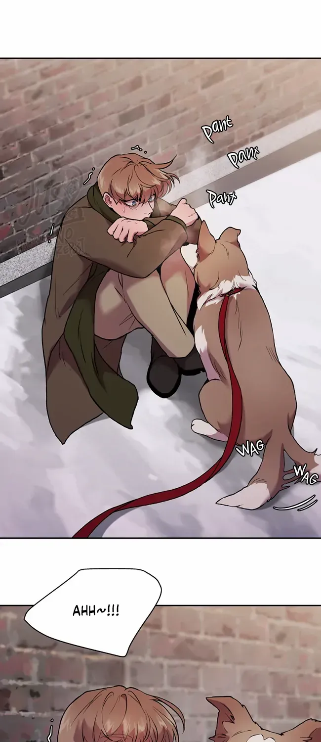 Hwang Young's Misery Chapter 37 page 32 - 