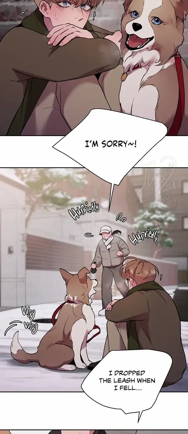 Hwang Young's Misery Chapter 37 page 33 - 