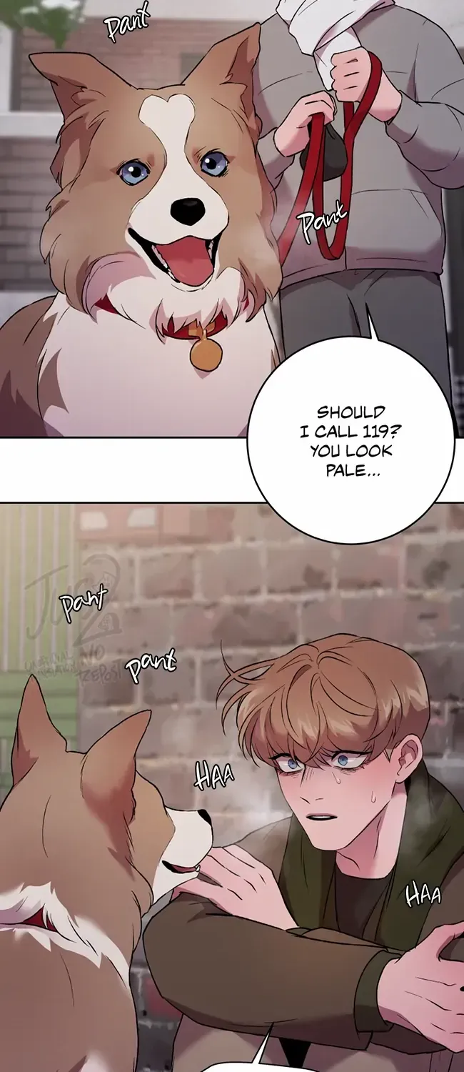 Hwang Young's Misery Chapter 37 page 44 - 