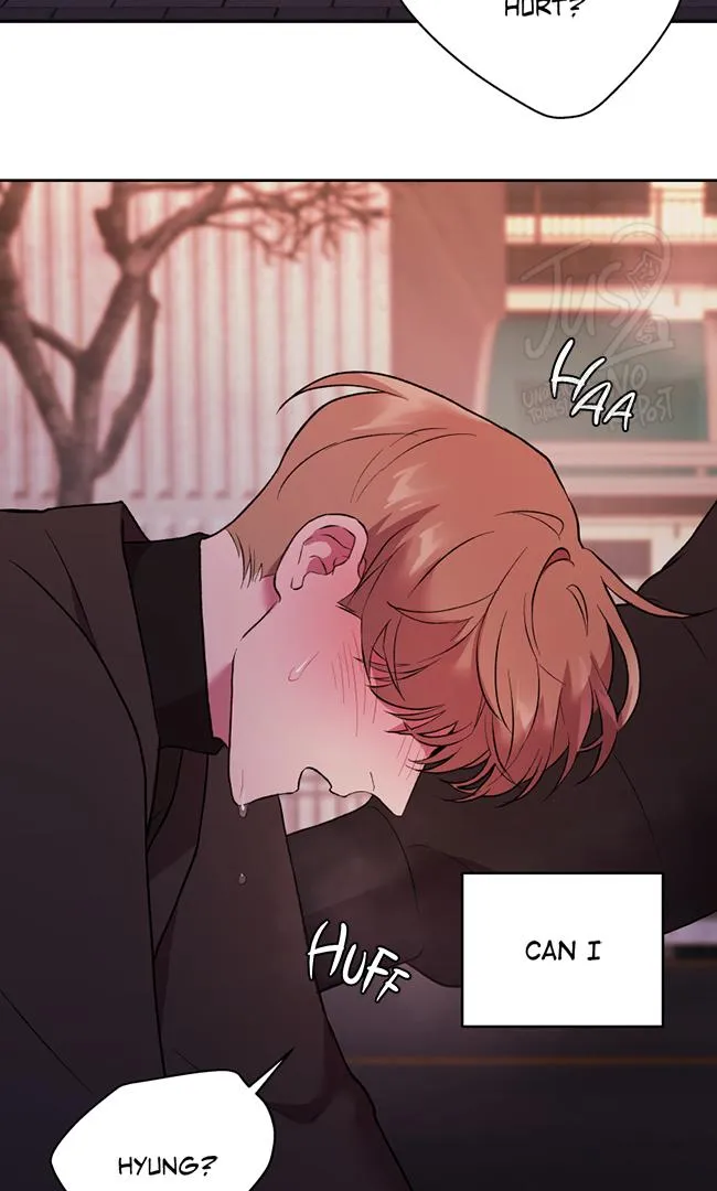 Hwang Young's Misery Chapter 39 page 66 - 