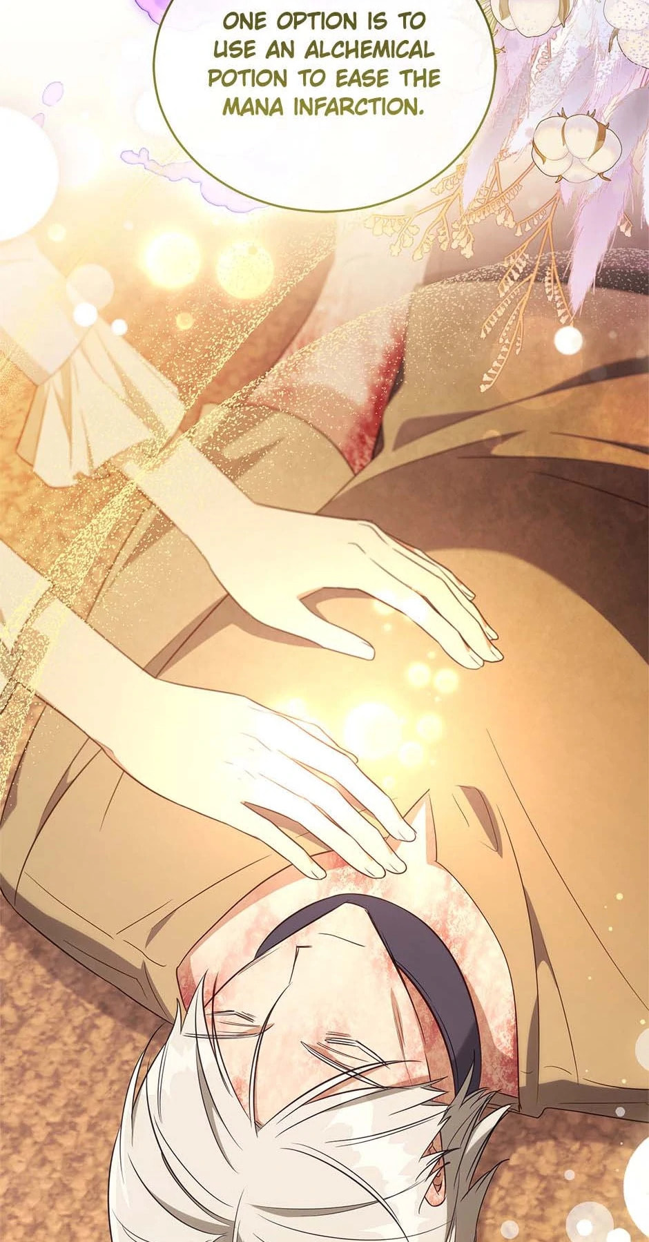Revolutionary Princess Eve Chapter 64 page 24 - 