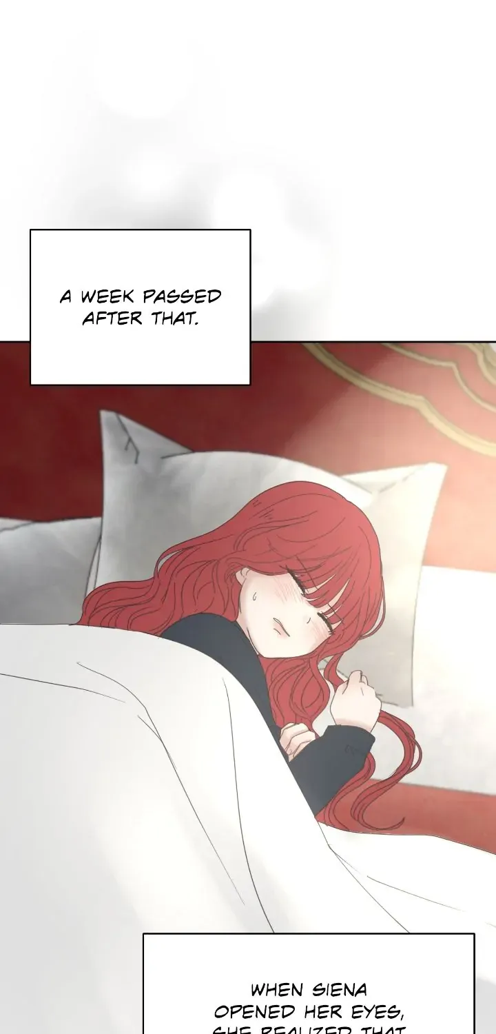 I Adopted the Male Lead from the Shelter 〘Official〙 Chapter 25 page 29 - 