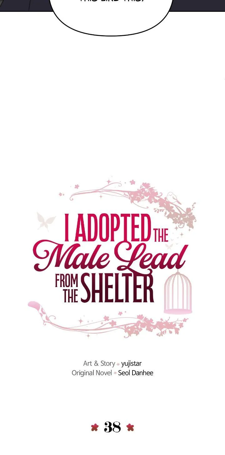 I Adopted the Male Lead from the Shelter 〘Official〙 Chapter 38 page 19 - 