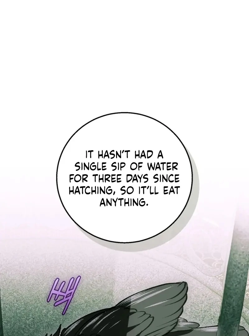 I Adopted the Protagonist, and the Genre Changed Chapter 26 page 70 - 