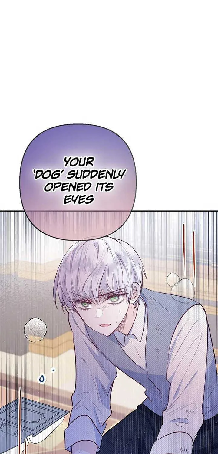 I Am A Daughter Loved By The Devil Chapter 81 page 72 - 