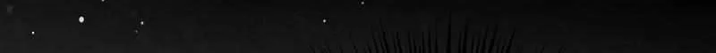 I Am A Daughter Loved By The Devil Chapter 93 page 49 - 