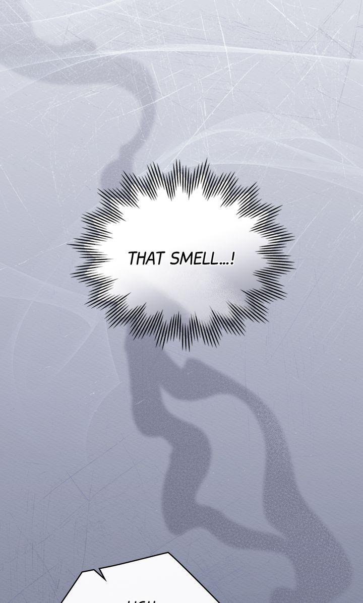 I Am Being Chased by My Husband Chapter 50 page 66 - 