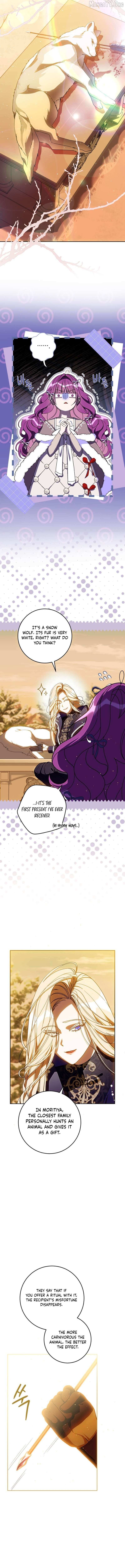 I Am the Evil Wife of a Young Husband Chapter 34 page 12 - 