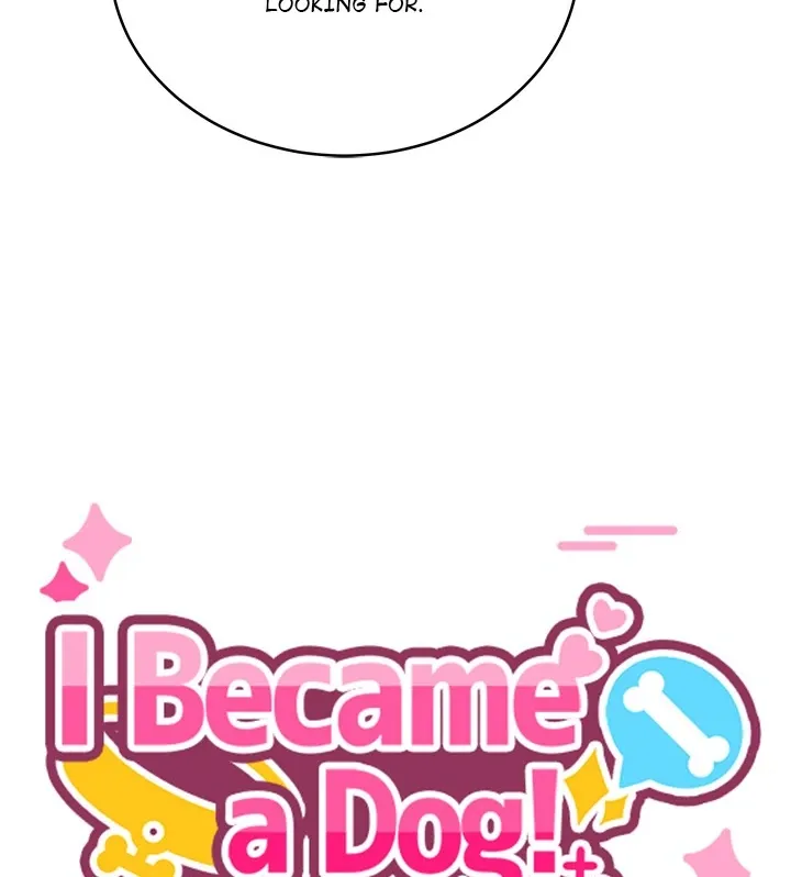I Became A Doge?! Chapter 37 page 11 - 