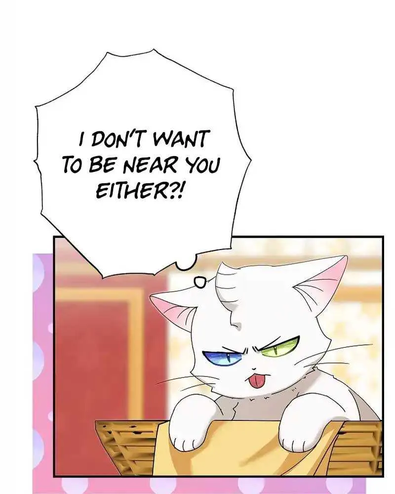 I Became the Emperor’s Cat Chapter 13 page 31 - 