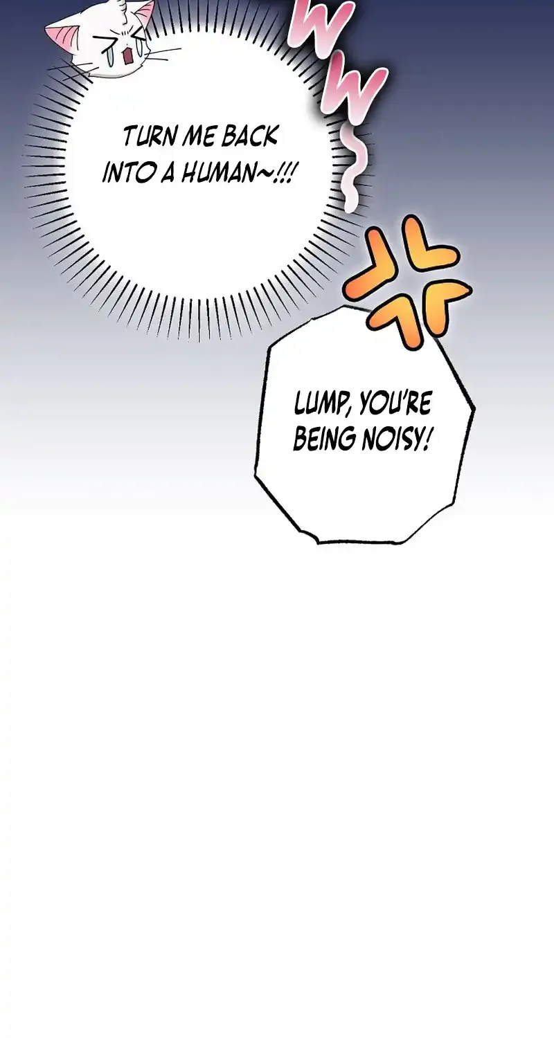 I Became the Emperor’s Cat Chapter 21 page 11 - 