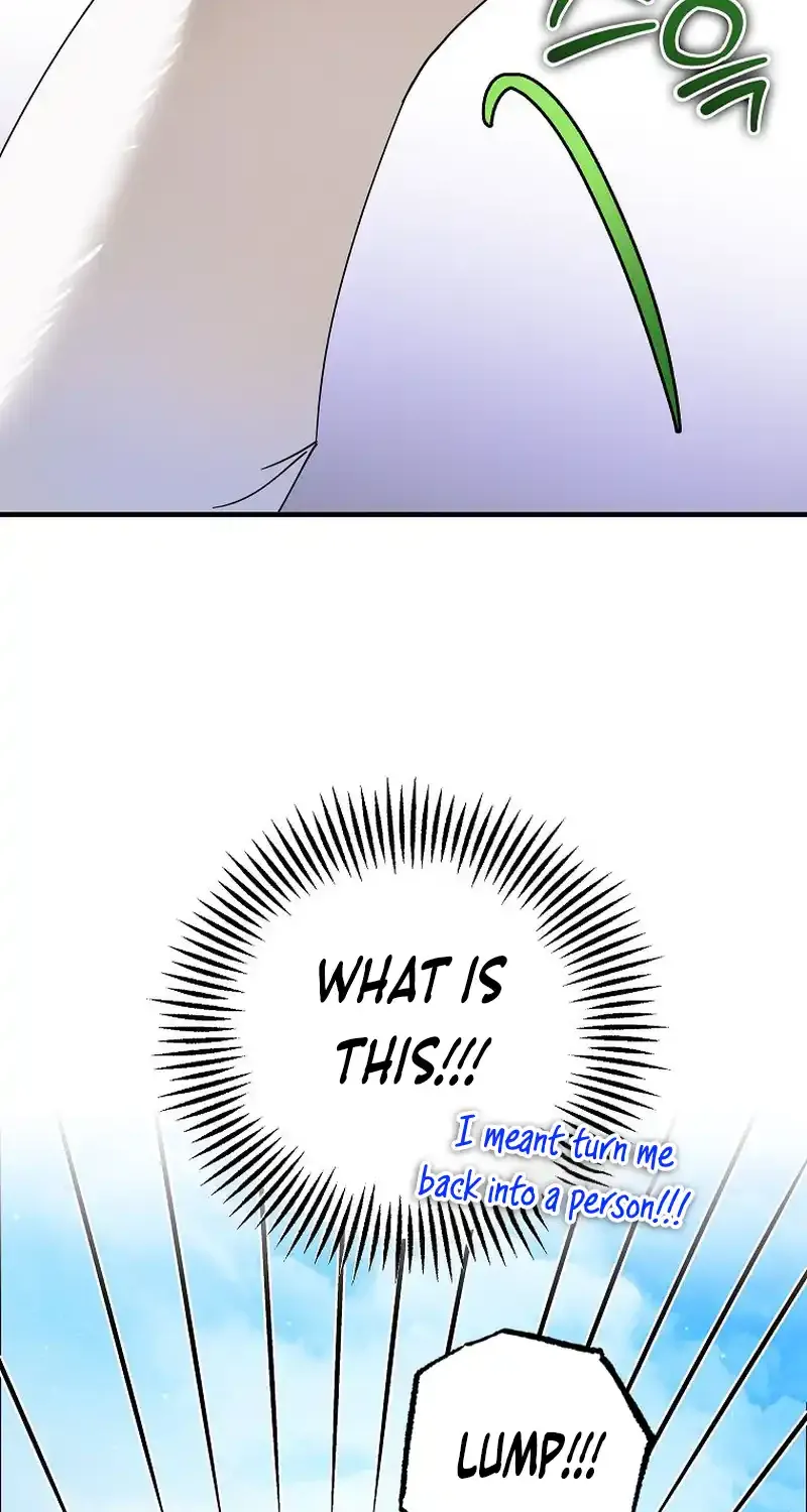 I Became the Emperor’s Cat Chapter 21 page 25 - 