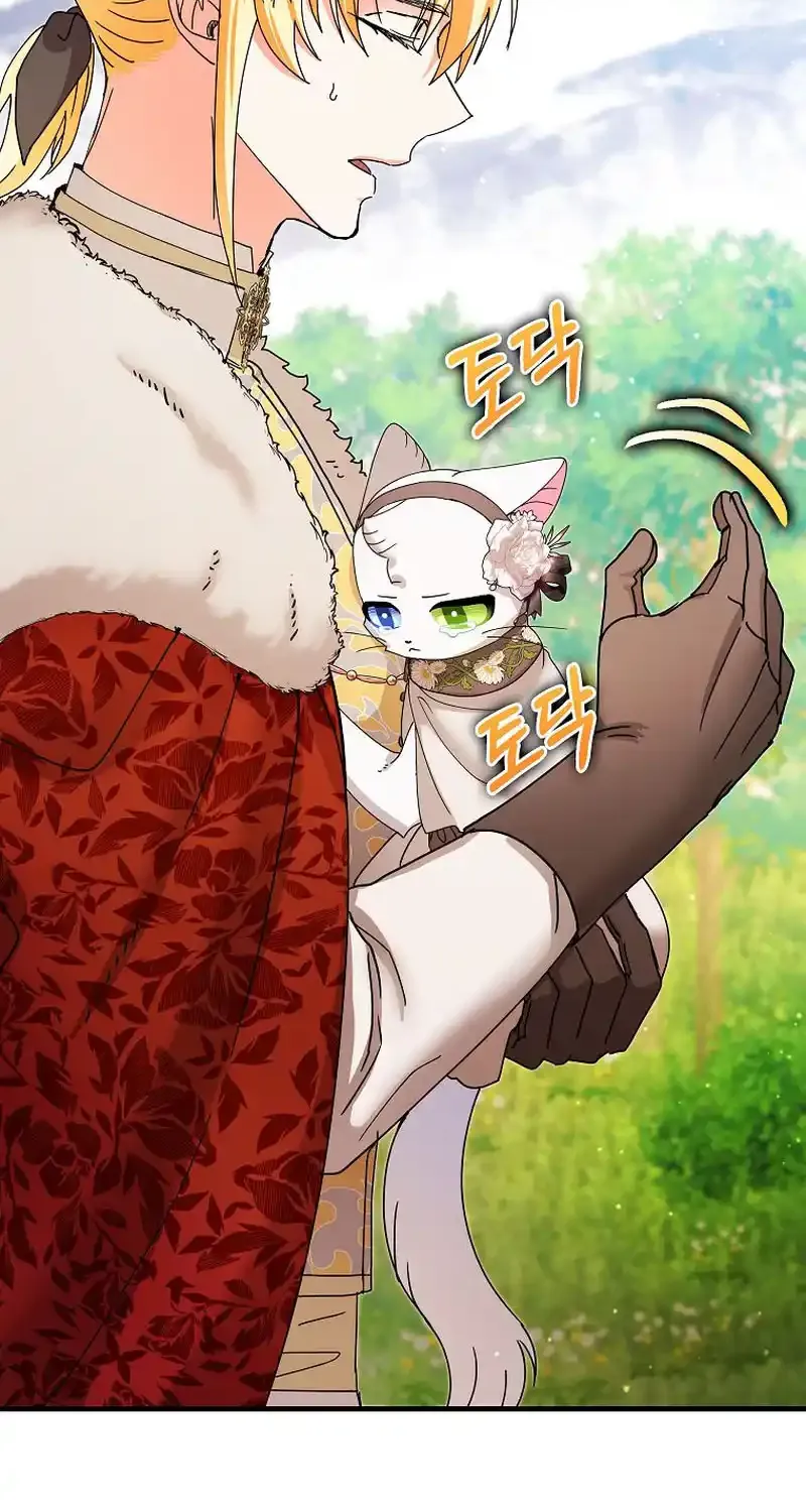 I Became the Emperor’s Cat Chapter 21 page 53 - 