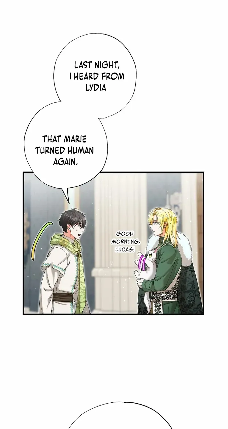 I Became the Emperor’s Cat Chapter 39 page 18 - 