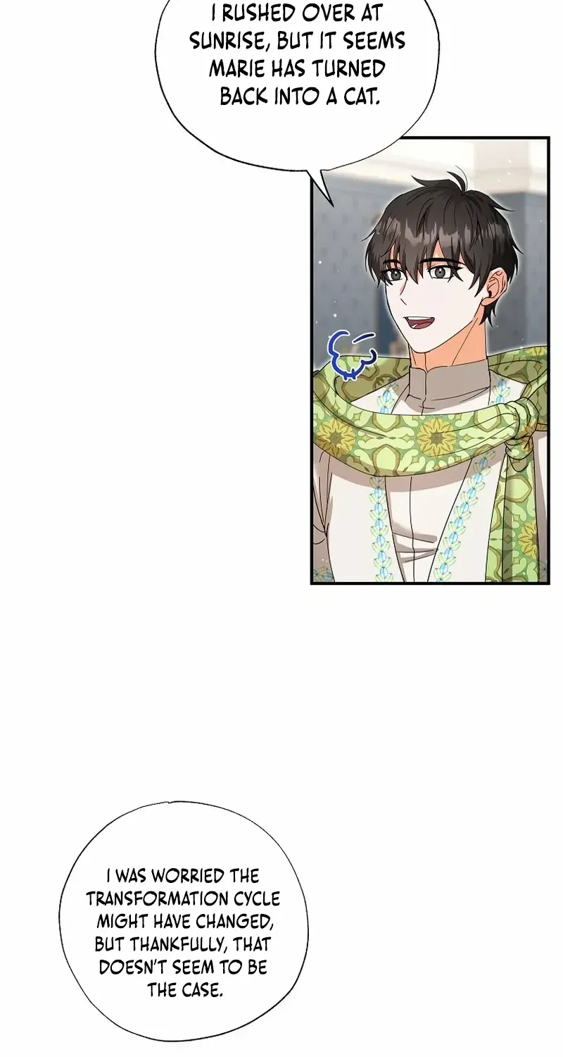 I Became the Emperor’s Cat Chapter 39 page 19 - 