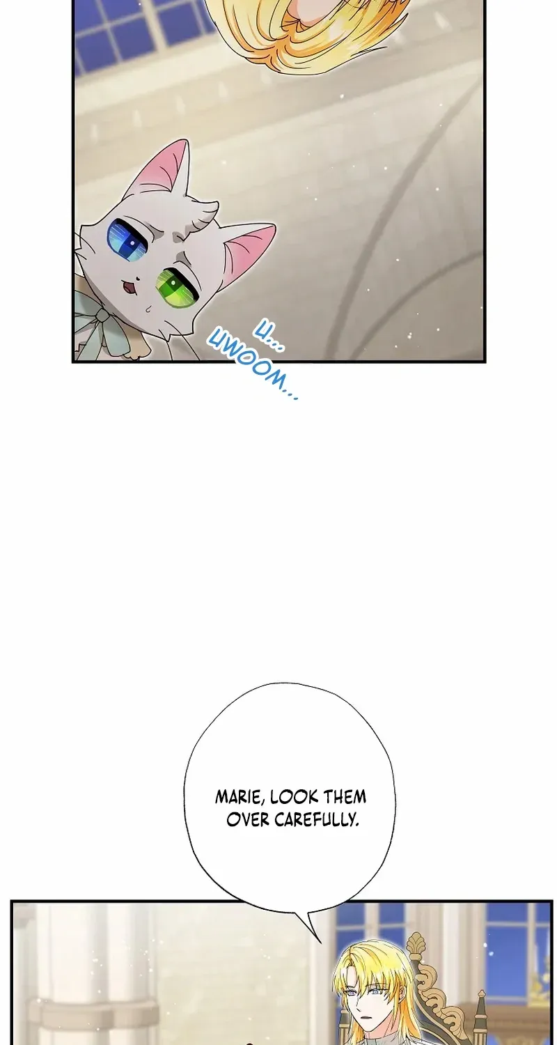 I Became the Emperor’s Cat Chapter 39 page 46 - 