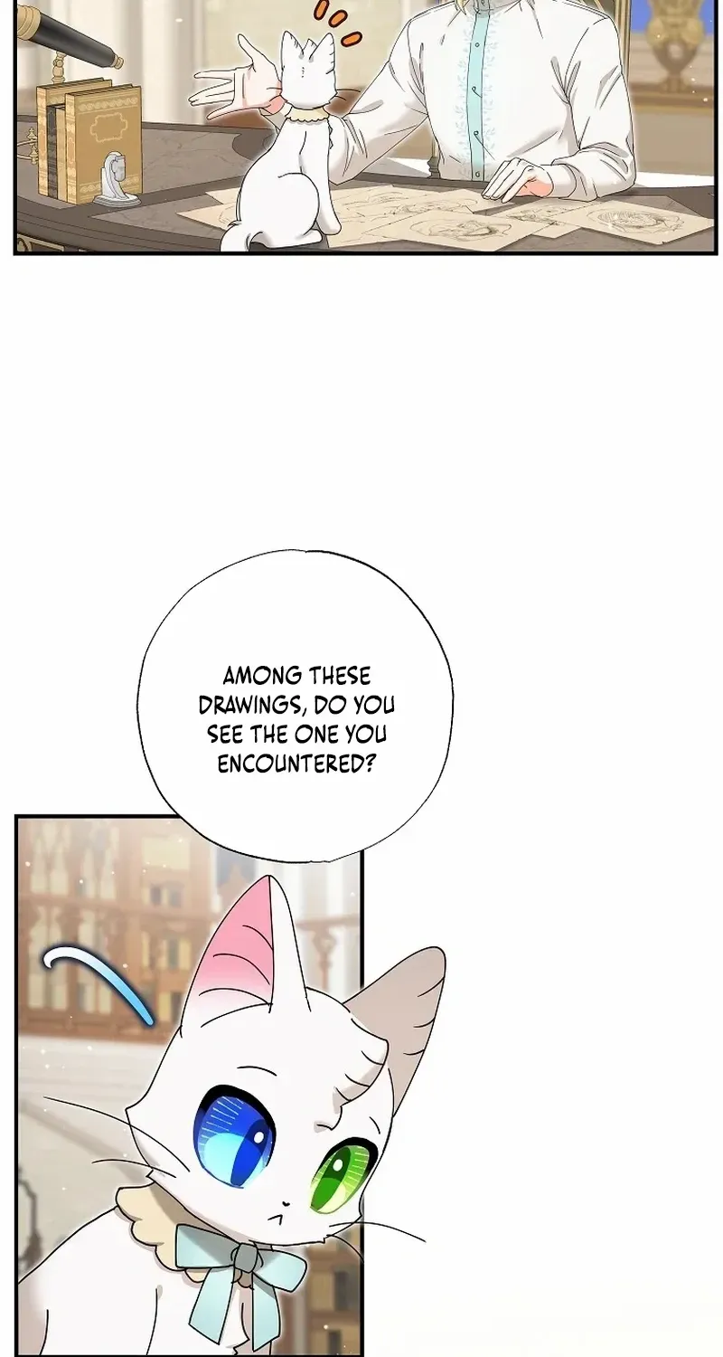 I Became the Emperor’s Cat Chapter 39 page 47 - 
